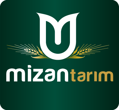 mizantarim